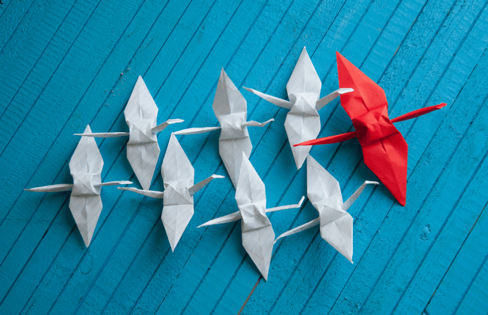 Paper birds, with a red one leading the pack
